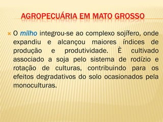 AGROPECUÁRIA EM MATO GROSSO
 O milho integrou-se ao complexo sojífero, onde
expandiu e alcançou maiores índices de
produção e produtividade. È cultivado
associado a soja pelo sistema de rodízio e
rotação de culturas, contribuindo para os
efeitos degradativos do solo ocasionados pela
monoculturas.
 