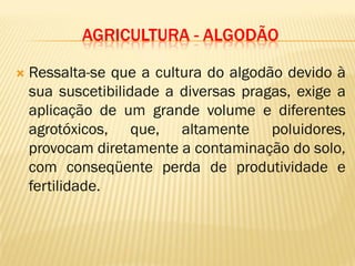 AGRICULTURA - ALGODÃO
 Ressalta-se que a cultura do algodão devido à
sua suscetibilidade a diversas pragas, exige a
aplicação de um grande volume e diferentes
agrotóxicos, que, altamente poluidores,
provocam diretamente a contaminação do solo,
com conseqüente perda de produtividade e
fertilidade.
 