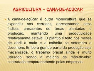 AGRICULTURA – CANA-DE-ACÚCAR
 A cana-de-açúcar é outra monocultura que se
expandiu nos cerrados, apresentando altos
índices crescentes de áreas plantadas e
produção, mantendo uma produtividade
relativamente estável. O plantio é feito nos meses
de abril a maio e a colheita se setembro a
dezembro. Embora grande parte da produção seja
mecanizada, o trabalho braçal ainda é muito
utilizado, sendo a maioria da mão-de-obra
contratada temporariamente pelas empresas.
 