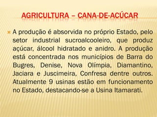 AGRICULTURA – CANA-DE-ACÚCAR
 A produção é absorvida no próprio Estado, pelo
setor industrial sucroalcooleiro, que produz
açúcar, álcool hidratado e anidro. A produção
está concentrada nos municípios de Barra do
Bugres, Denise, Nova Olímpia, Diamantino,
Jaciara e Juscimeira, Confresa dentre outros.
Atualmente 9 usinas estão em funcionamento
no Estado, destacando-se a Usina Itamarati.
 