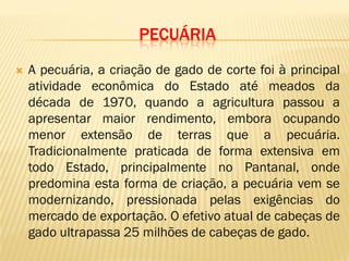 PECUÁRIA
 A pecuária, a criação de gado de corte foi à principal
atividade econômica do Estado até meados da
década de 1970, quando a agricultura passou a
apresentar maior rendimento, embora ocupando
menor extensão de terras que a pecuária.
Tradicionalmente praticada de forma extensiva em
todo Estado, principalmente no Pantanal, onde
predomina esta forma de criação, a pecuária vem se
modernizando, pressionada pelas exigências do
mercado de exportação. O efetivo atual de cabeças de
gado ultrapassa 25 milhões de cabeças de gado.
 