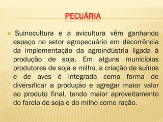PECUÁRIA
 Suinocultura e a avicultura vêm ganhando
espaço no setor agropecuário em decorrência
da implementação da agroindústria ligada à
produção de soja. Em alguns municípios
produtores de soja e milho, a criação de suínos
e de aves é integrada como forma de
diversificar a produção e agregar maior valor
ao produto final, tendo maior aproveitamento
do farelo de soja e do milho como ração.
 