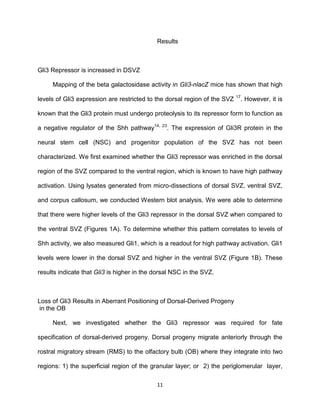 11
Results
Gli3 Repressor is increased in DSVZ
Mapping of the beta galactosidase activity in Gli3-nlacZ mice has shown that high
levels of Gli3 expression are restricted to the dorsal region of the SVZ 17
. However, it is
known that the Gli3 protein must undergo proteolysis to its repressor form to function as
a negative regulator of the Shh pathway14, 23
. The expression of Gli3R protein in the
neural stem cell (NSC) and progenitor population of the SVZ has not been
characterized. We first examined whether the Gli3 repressor was enriched in the dorsal
region of the SVZ compared to the ventral region, which is known to have high pathway
activation. Using lysates generated from micro-dissections of dorsal SVZ, ventral SVZ,
and corpus callosum, we conducted Western blot analysis. We were able to determine
that there were higher levels of the Gli3 repressor in the dorsal SVZ when compared to
the ventral SVZ (Figures 1A). To determine whether this pattern correlates to levels of
Shh activity, we also measured Gli1, which is a readout for high pathway activation. Gli1
levels were lower in the dorsal SVZ and higher in the ventral SVZ (Figure 1B). These
results indicate that Gli3 is higher in the dorsal NSC in the SVZ.
Loss of Gli3 Results in Aberrant Positioning of Dorsal-Derived Progeny
in the OB
Next, we investigated whether the Gli3 repressor was required for fate
specification of dorsal-derived progeny. Dorsal progeny migrate anteriorly through the
rostral migratory stream (RMS) to the olfactory bulb (OB) where they integrate into two
regions: 1) the superficial region of the granular layer; or 2) the periglomerular layer,
 