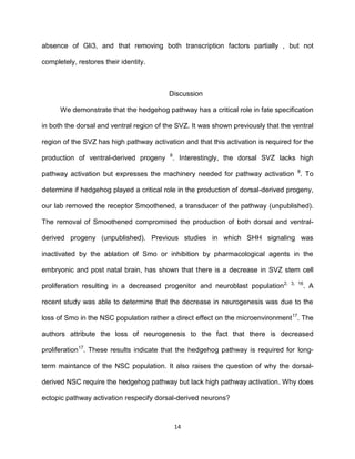 14
absence of Gli3, and that removing both transcription factors partially , but not
completely, restores their identity.
Discussion
We demonstrate that the hedgehog pathway has a critical role in fate specification
in both the dorsal and ventral region of the SVZ. It was shown previously that the ventral
region of the SVZ has high pathway activation and that this activation is required for the
production of ventral-derived progeny 8
. Interestingly, the dorsal SVZ lacks high
pathway activation but expresses the machinery needed for pathway activation 8
. To
determine if hedgehog played a critical role in the production of dorsal-derived progeny,
our lab removed the receptor Smoothened, a transducer of the pathway (unpublished).
The removal of Smoothened compromised the production of both dorsal and ventral-
derived progeny (unpublished). Previous studies in which SHH signaling was
inactivated by the ablation of Smo or inhibition by pharmacological agents in the
embryonic and post natal brain, has shown that there is a decrease in SVZ stem cell
proliferation resulting in a decreased progenitor and neuroblast population2, 3, 16
. A
recent study was able to determine that the decrease in neurogenesis was due to the
loss of Smo in the NSC population rather a direct effect on the microenvironment17
. The
authors attribute the loss of neurogenesis to the fact that there is decreased
proliferation17
. These results indicate that the hedgehog pathway is required for long-
term maintance of the NSC population. It also raises the question of why the dorsal-
derived NSC require the hedgehog pathway but lack high pathway activation. Why does
ectopic pathway activation respecify dorsal-derived neurons?
 