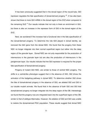 15
It has been previously suggested that in the dorsal region of the neural tube, Gli3
repressor regulates the fate specification of dorsal-derived progeny 22
. It has also been
shown that there is more Gli3 mRNA in the dorsal region of the SVZ when compared to
the remaining SVZ 17
.Our results indicate that not only is there an enrichment in Gli3,
but there is also an increase in the repressor form of Gli3 in the dorsal region of the
SVZ.
Next, we wondered if the increase had a functional role in the fate specification of
the dorsal-derived progeny. To determine the role Gli3 played in dorsal identity, we
removed the Gli3 gene from the dorsal NSC. We found that the progeny from these
NSC no longer integrate into their normal superficial region but rather into the deep
region of the granular layer. Dorsal NSC are not only responsible for the production of
interneurons in the granular layer but are also the production of interneurons in the
periglomular layer. Our results indicate that the Gli3 repressor is required for the proper
fate specification of dorsal-derived progeny.
Progeny of mutant Gli3 NSC, are similar to those of ventral NSC progeny. The
shifts to a ventral-like phenotype suggest that in the absence of Gli3, Gli2 drives the
activation of the hedgehog pathway in dorsal NSC. To determine whether Gli2 drives
the fate of dorsal-derived progeny in the absence of Gli3, we ablated Gli2 and Gli3 in
our double mutant animals. We found that in the absence of both Gli2 and Gli3 that
dorsal-derived progeny no longer integrate into the deep region of the OB. Interestingly
we found that the progeny now are integrated back into the superficial region of the OB,
similar to that of wildtype littermates. However, the ablation of Gli2 and Gli3 was unable
to restore the dorsal-derived PGC population. These results suggest that dorsal NSC
 