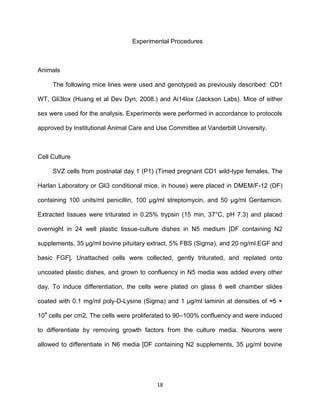 18
Experimental Procedures
Animals
The following mice lines were used and genotyped as previously described: CD1
WT, Gli3lox (Huang et al Dev Dyn, 2008.) and Ai14lox (Jackson Labs). Mice of either
sex were used for the analysis. Experiments were performed in accordance to protocols
approved by Institutional Animal Care and Use Committee at Vanderbilt University.
Cell Culture
SVZ cells from postnatal day 1 (P1) (Timed pregnant CD1 wild-type females, The
Harlan Laboratory or Gli3 conditional mice, in house) were placed in DMEM/F-12 (DF)
containing 100 units/ml penicillin, 100 μg/ml streptomycin, and 50 µg/ml Gentamicin.
Extracted tissues were triturated in 0.25% trypsin (15 min, 37°C, pH 7.3) and placed
overnight in 24 well plastic tissue-culture dishes in N5 medium [DF containing N2
supplements, 35 μg/ml bovine pituitary extract, 5% FBS (Sigma), and 20 ng/ml EGF and
basic FGF]. Unattached cells were collected, gently triturated, and replated onto
uncoated plastic dishes, and grown to confluency in N5 media was added every other
day. To induce differentiation, the cells were plated on glass 8 well chamber slides
coated with 0.1 mg/ml poly-D-Lysine (Sigma) and 1 μg/ml laminin at densities of ≈5 ×
104
cells per cm2. The cells were proliferated to 90–100% confluency and were induced
to differentiate by removing growth factors from the culture media. Neurons were
allowed to differentiate in N6 media [DF containing N2 supplements, 35 μg/ml bovine
 