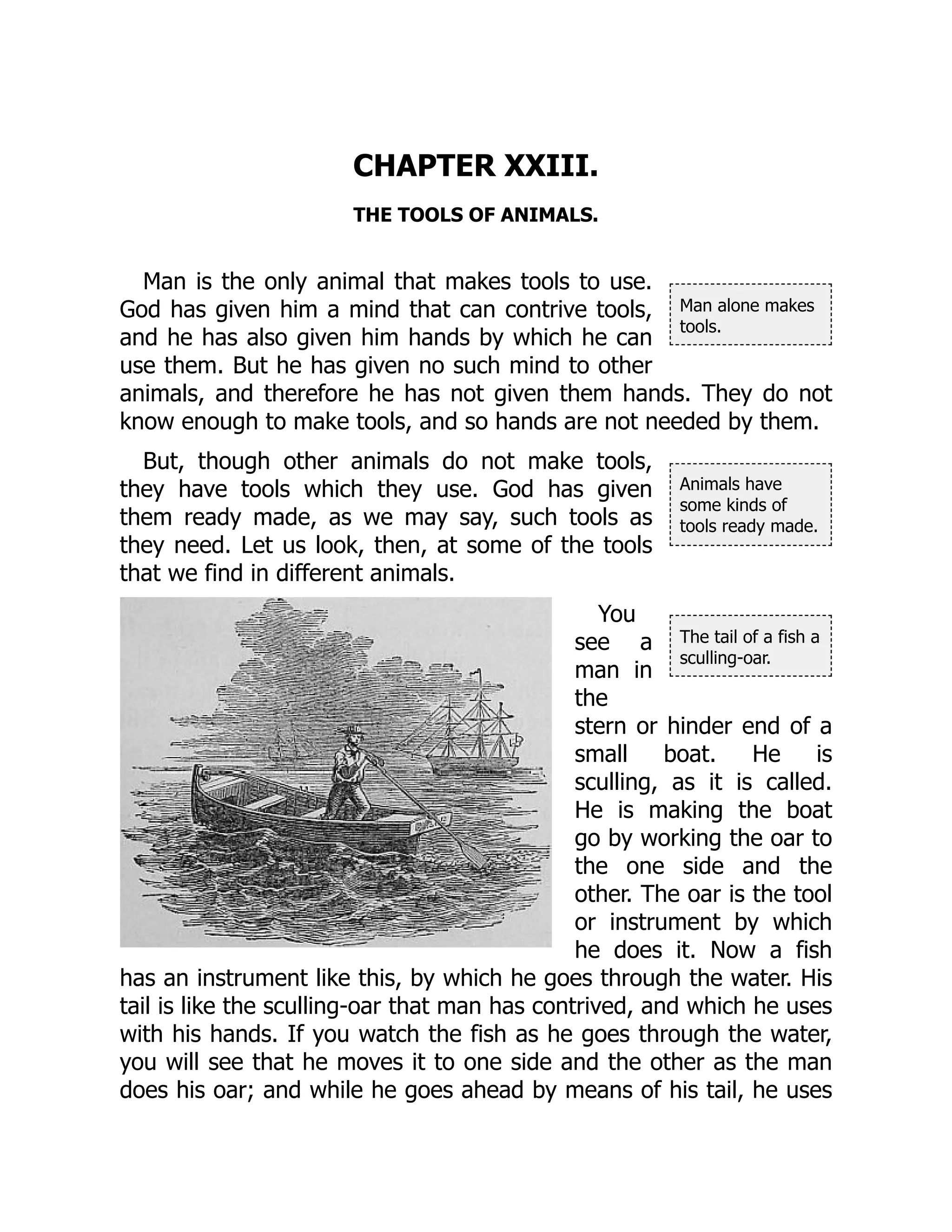 Man alone makes
tools.
Animals have
some kinds of
tools ready made.
The tail of a fish a
sculling-oar.
CHAPTER XXIII.
THE TOOLS OF ANIMALS.
Man is the only animal that makes tools to use.
God has given him a mind that can contrive tools,
and he has also given him hands by which he can
use them. But he has given no such mind to other
animals, and therefore he has not given them hands. They do not
know enough to make tools, and so hands are not needed by them.
But, though other animals do not make tools,
they have tools which they use. God has given
them ready made, as we may say, such tools as
they need. Let us look, then, at some of the tools
that we find in different animals.
You
see a
man in
the
stern or hinder end of a
small boat. He is
sculling, as it is called.
He is making the boat
go by working the oar to
the one side and the
other. The oar is the tool
or instrument by which
he does it. Now a fish
has an instrument like this, by which he goes through the water. His
tail is like the sculling-oar that man has contrived, and which he uses
with his hands. If you watch the fish as he goes through the water,
you will see that he moves it to one side and the other as the man
does his oar; and while he goes ahead by means of his tail, he uses
 