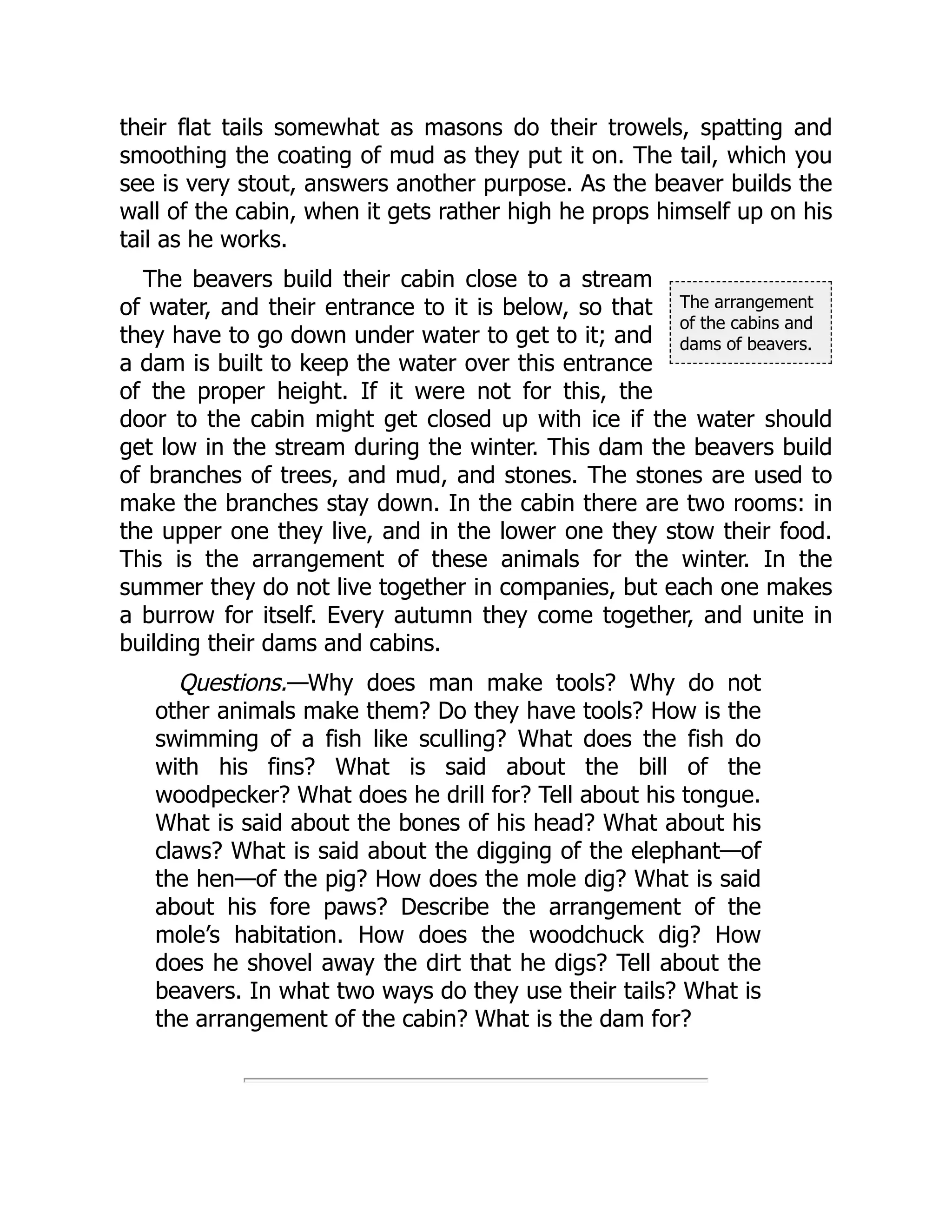 The arrangement
of the cabins and
dams of beavers.
their flat tails somewhat as masons do their trowels, spatting and
smoothing the coating of mud as they put it on. The tail, which you
see is very stout, answers another purpose. As the beaver builds the
wall of the cabin, when it gets rather high he props himself up on his
tail as he works.
The beavers build their cabin close to a stream
of water, and their entrance to it is below, so that
they have to go down under water to get to it; and
a dam is built to keep the water over this entrance
of the proper height. If it were not for this, the
door to the cabin might get closed up with ice if the water should
get low in the stream during the winter. This dam the beavers build
of branches of trees, and mud, and stones. The stones are used to
make the branches stay down. In the cabin there are two rooms: in
the upper one they live, and in the lower one they stow their food.
This is the arrangement of these animals for the winter. In the
summer they do not live together in companies, but each one makes
a burrow for itself. Every autumn they come together, and unite in
building their dams and cabins.
Questions.—Why does man make tools? Why do not
other animals make them? Do they have tools? How is the
swimming of a fish like sculling? What does the fish do
with his fins? What is said about the bill of the
woodpecker? What does he drill for? Tell about his tongue.
What is said about the bones of his head? What about his
claws? What is said about the digging of the elephant—of
the hen—of the pig? How does the mole dig? What is said
about his fore paws? Describe the arrangement of the
mole’s habitation. How does the woodchuck dig? How
does he shovel away the dirt that he digs? Tell about the
beavers. In what two ways do they use their tails? What is
the arrangement of the cabin? What is the dam for?
 