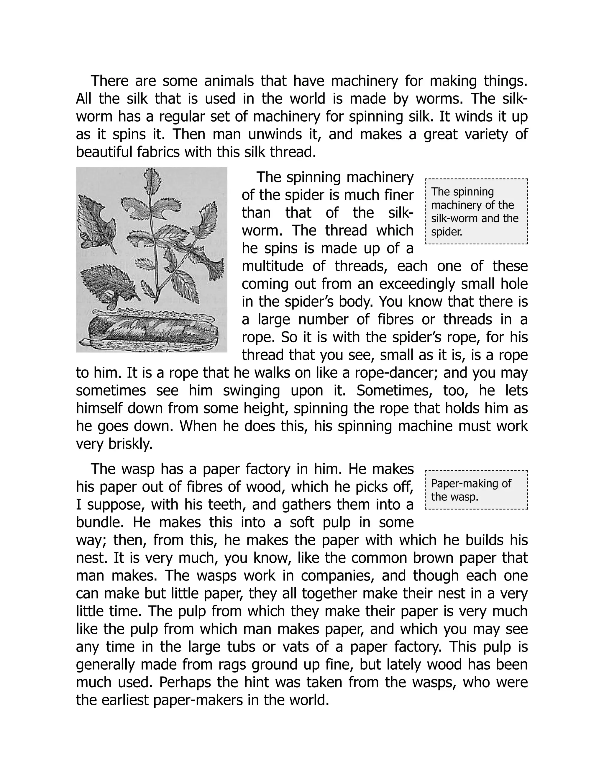 The spinning
machinery of the
silk-worm and the
spider.
Paper-making of
the wasp.
There are some animals that have machinery for making things.
All the silk that is used in the world is made by worms. The silk-
worm has a regular set of machinery for spinning silk. It winds it up
as it spins it. Then man unwinds it, and makes a great variety of
beautiful fabrics with this silk thread.
The spinning machinery
of the spider is much finer
than that of the silk-
worm. The thread which
he spins is made up of a
multitude of threads, each one of these
coming out from an exceedingly small hole
in the spider’s body. You know that there is
a large number of fibres or threads in a
rope. So it is with the spider’s rope, for his
thread that you see, small as it is, is a rope
to him. It is a rope that he walks on like a rope-dancer; and you may
sometimes see him swinging upon it. Sometimes, too, he lets
himself down from some height, spinning the rope that holds him as
he goes down. When he does this, his spinning machine must work
very briskly.
The wasp has a paper factory in him. He makes
his paper out of fibres of wood, which he picks off,
I suppose, with his teeth, and gathers them into a
bundle. He makes this into a soft pulp in some
way; then, from this, he makes the paper with which he builds his
nest. It is very much, you know, like the common brown paper that
man makes. The wasps work in companies, and though each one
can make but little paper, they all together make their nest in a very
little time. The pulp from which they make their paper is very much
like the pulp from which man makes paper, and which you may see
any time in the large tubs or vats of a paper factory. This pulp is
generally made from rags ground up fine, but lately wood has been
much used. Perhaps the hint was taken from the wasps, who were
the earliest paper-makers in the world.
 