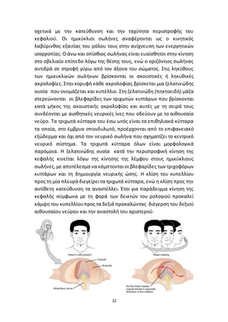 12
σχετικά με την κατεύθυνση και την ταχύτητα περιστροφής του
κεφαλιού. Οι ηµικύκλιοι σωλήνες αναφέρονται ως ο κινητικός
λαβύρινθος εξαιτίας του ρόλου τους στην ανίχνευση των ενεργητικών
ισορροπίας. Ο άνω και οπίσθιος σωλήνας είναι ευαίσθητοι στην κίνηση
στο οβελιαίο επίπεδο λόγω της θέσης τους, ενώ ο οριζόντιος σωλήνας
αντιδρά σε στροφή γύρω από τον άξονα του σώµατος. Στις ληκύθους
των ηµικυκλικών σωλήνων βρίσκονται οι ακουστικές ή ληκυθικές
ακρολοφίες. Στην κορυφή κάθε ακρολοφίας βρίσκεται µια ζελατινώδης
ουσία που ονομάζεται και κυπέλλιο. Στη ζελατινώδη (πηκτοειδή) μάζα
στερεώνονται οι βλεφαρίδες των τριχωτών κυττάρων που βρίσκονται
κατά µήκος της ακουστικής ακρολοφίας και αυτές µε τη σειρά τους
συνδέονται µε αισθητικές νευρικές ίνες που οδεύουν µε το αιθουσαίο
νεύρο. Τα τριχωτά κύτταρα του έσω ωτός είναι τα επιθηλιακά κύτταρα
τα οποία, στο έμβρυο σπονδυλωτό, προέρχονται από το επιφανειακό
εξώδερμα και όχι από τον νευρικό σωλήνα που σχηματίζει το κεντρικό
νευρικό σύστημα. Τα τριχωτά κύτταρα όλων είναι μορφολογικά
παρόμοια. Η ζελατινώδης ουσία κατά την περιστροφική κίνηση της
κεφαλής κινείται λόγω της κίνησης της λέμφου στους ημικύκλιους
σωλήνες, με αποτέλεσμα να κάμπτονταιοιβλεφαρίδες των τριχοφόρων
κυττάρων και τη δημιουργία νευρικής ώσης. Η κλίση του κυπελλίου
προς τη µία πλευρά διεγείρειτα τριχωτά κύτταρα, ενώ η κλίση προς την
αντίθετη κατεύθυνση τα αναστέλλει. Έτσι για παράδειγµα κίνηση της
κεφαλής σύμφωνα με τη φορά των δεικτών του ρολογιού προκαλεί
κάµψη του κυπελλίουπρος τα δεξιά προκαλώντας διέγερση του δεξιού
αιθουσαίου νεύρου και την αναστολή του αριστερού.
 