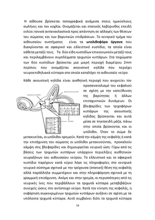 14
Η αίθουσα βρίσκεται τοπογραφικά ανάµεσα στους ηµικύκλιους
σωλήνες και τον κοχλία. Ονοµάζεται και στατικός λαβύρινθος επειδή
εκλύει τονικά αντανακλαστικά προς απάντηση σε αλλαγές των θέσεων
του σώµατος και των βαρυτικών επιδράσεων. Το κεντρικό τμήμα του
αιθουσαίου συστήματος είναι τα ωτολιθοφόρα όργανα που
διακρίνονται σε σφαιρικό και ελλειπτικό κυστίδιο, τα οποία είναι
κάθετα μεταξύ τους. Τα δύο είδη κυστιδίων επικοινωνούν µεταξύτους
και περιλαμβάνουν συμπλέγματα τριχωτών κυττάρων. Στα τοιχώµατα
των δύο κυστιδίων βρίσκεται µια µικρή περιοχή διαµέτρου 2mm
περίπου που ονοµάζεται ακουστική κηλίδα που περιέχει
νευροεπιθηλιακά κύτταρα στα οποία καταλήγει το αιθουσαίο νεύρο.
Κάθε ακουστική κηλίδα είναι αισθητική περιοχή που ανιχνεύει τον
προσανατολισµό του κεφαλιού
σε σχέση µε την κατεύθυνση
της βαρύτητας ή άλλων
επιταχυντικών δυνάµεων. Οι
βλεφαρίδες των τριχοφόρων
κυττάρων της ακουστικής
κηλίδας βρίσκονται και αυτά
μέσα σε πηκτοειδή μάζα, πάνω
στην οποία βρίσκονται και οι
ωτόλιθοι. Όταν το σώμα δε
μετακινείται, οιωτόλιθοι ηρεμούν. Κατά την κάμψη της κεφαλής ή κατά
την επιτάχυνση του σώματος οι ωτόλιθοι μετακινούνται, προκαλούν
κάμψη στις βλεφαρίδες και δημιουργείται νευρική ώση. Γύρω από τις
βάσεις των τριχωτών κυττάρων υπάρχουν περιελίξεις αισθητικών
νευραξόνων του αιθουσαίου νεύρου. Το ελλειπτικό και το σφαιρικό
κυστίδιο παρέχουν κατά κύριο λόγο τις πληροφορίες στο κεντρικό
νευρικό σύστημα σχετικά µε την τρέχουσα (στατική) θέση της κεφαλής
αλλά παράλληλα συμμετέχουν και στην πληροφόρηση σχετικά µε τη
γραµµική επιτάχυνση. Ακόµη και στην ηρεµία, οι περισσότερες από τις
νευρικές ίνες που περιβάλλουν τα τριχωτά κύτταρα µεταβιβάζουν
συνεχείς ώσεις στο αντίστοιχο νεύρο. Κατά την κίνηση της κεφαλής, η
εκφόρτιση συγκεκριµένων τριχωτών κυττάρων αυξάνει σε σχέση µε τα
υπόλοιπα τριχωτά κύτταρα. Αυτό συµβαίνει διότι τα τριχωτά κύτταρα
 