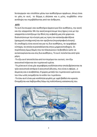 3
λειτουργιών και επιπλέον μέσω των αισθητήριων οργάνων, όπως είναι
το μάτι, το αυτί, το δέρμα, η γλώσσα και η μύτη, συμβάλλει στην
αντίληψη του περιβάλλοντος από τον άνθρωπο.
ΑΥΤΙ
Το αυτί λειτουργεί σαν αισθητήριο όργανο για δύο αισθήσεις, την ακοή
καιτην ισορροπία. Με την ακοήανιχνεύουμε τους ήχους ενώ με την
ισορροπία εντοπίζουμε την θέσητης κεφαλής μας στο χώρο και
διαπιστώνουμε την κίνηση μας ως προς τον κατακόρυφο άξονα
(γραμμικήεπιτάχυνση) καιτον οριζόντιο (περιστροφικήκίνηση).
Οι υποδοχείς είναικοινοίκαιγια τις δυο αισθήσεις, τα τριχοφόρα
κύτταρα, τα οποία συγκαταλέγονταιστους μηχανοϋποδοχείς. Οι
περίπλοκες όμως δομές πουτα πλαισιώνουν τα βοηθούν ώστε να
ανταποκρίνονταικαιστις δυο αισθήσεις. Το αυτί ποτελείταιαπό τρία
μέρη:
-Το έξω αυτί αποτελείταιαπό το πτερύγιο του αυτιού, τον έξω
ακουστικό πόρο καιτον τυμπανικό υμένα.
-Το μέσο αυτί είναιμία αεροφόρος κοιλότητα στην οποία βρίσκονταιτα
τρία ακουστικά οστάρια ή ακουστικήάλυσος, πουείναιη σφύρα , ο
άκμονας καιο αναβολέας. Ο χώρος μεταξύτου τυμπανικούυμένα και
του έσω ωτός ονομάζεταιτο κοίλο του τυμπάνου.
-Το έσω αυτί είναιμια κοιλότητα γεμάτη με υγρό βαθιά στο κρανίο.
Ονομάζεταικαι λαβύρινθος λόγωτης πολύπλοκης κατασκευής του.
 