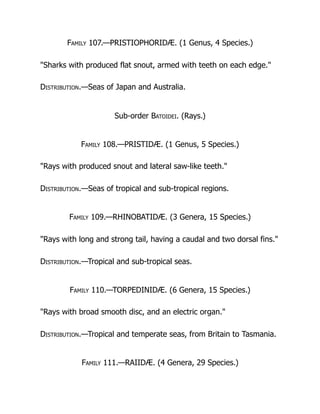 Family 107.—PRISTIOPHORIDÆ. (1 Genus, 4 Species.)
"Sharks with produced flat snout, armed with teeth on each edge."
Distribution.—Seas of Japan and Australia.
Sub-order Batoidei. (Rays.)
Family 108.—PRISTIDÆ. (1 Genus, 5 Species.)
"Rays with produced snout and lateral saw-like teeth."
Distribution.—Seas of tropical and sub-tropical regions.
Family 109.—RHINOBATIDÆ. (3 Genera, 15 Species.)
"Rays with long and strong tail, having a caudal and two dorsal fins."
Distribution.—Tropical and sub-tropical seas.
Family 110.—TORPEDINIDÆ. (6 Genera, 15 Species.)
"Rays with broad smooth disc, and an electric organ."
Distribution.—Tropical and temperate seas, from Britain to Tasmania.
Family 111.—RAIIDÆ. (4 Genera, 29 Species.)
 