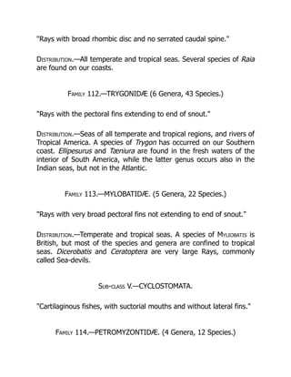 "Rays with broad rhombic disc and no serrated caudal spine."
Distribution.—All temperate and tropical seas. Several species of Raia
are found on our coasts.
Family 112.—TRYGONIDÆ (6 Genera, 43 Species.)
"Rays with the pectoral fins extending to end of snout."
Distribution.—Seas of all temperate and tropical regions, and rivers of
Tropical America. A species of Trygon has occurred on our Southern
coast. Ellipesurus and Tæniura are found in the fresh waters of the
interior of South America, while the latter genus occurs also in the
Indian seas, but not in the Atlantic.
Family 113.—MYLOBATIDÆ. (5 Genera, 22 Species.)
"Rays with very broad pectoral fins not extending to end of snout."
Distribution.—Temperate and tropical seas. A species of Myliobatis is
British, but most of the species and genera are confined to tropical
seas. Dicerobatis and Ceratoptera are very large Rays, commonly
called Sea-devils.
Sub-class V.—CYCLOSTOMATA.
"Cartilaginous fishes, with suctorial mouths and without lateral fins."
Family 114.—PETROMYZONTIDÆ. (4 Genera, 12 Species.)
 