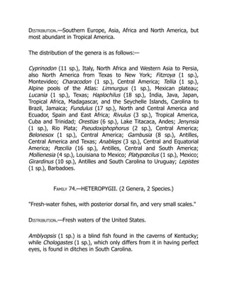 Distribution.—Southern Europe, Asia, Africa and North America, but
most abundant in Tropical America.
The distribution of the genera is as follows:—
Cyprinodon (11 sp.), Italy, North Africa and Western Asia to Persia,
also North America from Texas to New York; Fitzroya (1 sp.),
Montevideo; Characodon (1 sp.), Central America; Tellia (1 sp.),
Alpine pools of the Atlas: Limnurgus (1 sp.), Mexican plateau;
Lucania (1 sp.), Texas; Haplochilus (18 sp.), India, Java, Japan,
Tropical Africa, Madagascar, and the Seychelle Islands, Carolina to
Brazil, Jamaica; Fundulus (17 sp.), North and Central America and
Ecuador, Spain and East Africa; Rivulus (3 sp.), Tropical America,
Cuba and Trinidad; Orestias (6 sp.), Lake Titacaca, Andes; Jenynsia
(1 sp.), Rio Plata; Pseudoxiphophorus (2 sp.), Central America;
Belonesox (1 sp.), Central America; Gambusia (8 sp.), Antilles,
Central America and Texas; Anableps (3 sp.), Central and Equatorial
America; Pœcilia (16 sp.), Antilles, Central and South America;
Mollienesia (4 sp.), Louisiana to Mexico; Platypœcilus (1 sp.), Mexico;
Girardinus (10 sp.), Antilles and South Carolina to Uruguay; Lepistes
(1 sp.), Barbadoes.
Family 74.—HETEROPYGII. (2 Genera, 2 Species.)
"Fresh-water fishes, with posterior dorsal fin, and very small scales."
Distribution.—Fresh waters of the United States.
Amblyopsis (1 sp.) is a blind fish found in the caverns of Kentucky;
while Chologastes (1 sp.), which only differs from it in having perfect
eyes, is found in ditches in South Carolina.
 