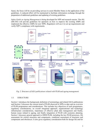 Nuclear Power Plant Life Management Processes Guidelines And Practices ...