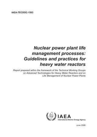 Nuclear Power Plant Life Management Processes Guidelines And Practices ...