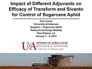 Impact of Different Adjuvants on
Efficacy of Transform and Sivanto
for Control of Sugarcane Aphid
Gus Lorenz
University of Arkansas
Sorghum – Sugarcane Aphid
Research Exchange Meeting
New Orleans, LA
January 7 – 8, 2016
 