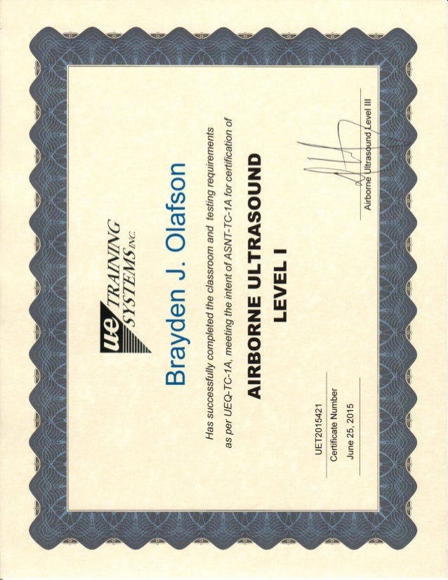 UE Systems Level I Certificate