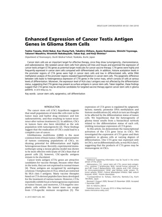 MOLECULAR CARCINOGENESIS 49:532–544 (2010)




Enhanced Expression of Cancer Testis Antigen
Genes in Glioma Stem Cells
Toshio Yawata, Eiichi Nakai, Kae Chang Park, Takahiro Chihara, Ayano Kumazawa, Shinichi Toyonaga,
Takanori Masahira, Hiromichi Nakabayashi, Takao Kaji, and Keiji Shimizu*
Department of Neurosurgery, Kochi Medical School, Nankoku, Kochi, Japan

   Cancer stem cells are an important target for effective therapy, since they show tumorigenicity, chemoresistance,
and radioresistance. We isolated cancer stem cells from glioma cell lines and tissues and examined the expression of
cancer testis antigen (CTA) genes as potential target molecules for cancer vaccine therapy. CTA genes were highly and
frequently expressed in cancer stem cells compared with differentiated cells. In addition, histone acetylation levels in
the promoter regions of CTA genes were high in cancer stem cells and low in differentiated cells, while DNA
methylation analysis of the promoter regions revealed hypomethylation in cancer stem cells. This epigenetic difference
between cells leads to heterogeneous expression of CTA genes in the tumor mass, which consists of cells at various
levels of differentiation. Moreover, the expression level of HLA class I antigens was not affected by the differentiation
status, suggesting that CTA genes may present as surface antigens in cancer stem cells. Taken together, these findings
suggest that CTA genes may be attractive candidates for targeted vaccine therapy against cancer stem cells in glioma
patients. ß 2010 Wiley-Liss, Inc.
Key words: cancer stem cells; epigenetics; cell differentiation




                     INTRODUCTION                              expression of CTA genes is regulated by epigenetic
  The cancer stem cell (CSC) hypothesis suggests               factors; namely, promoter DNA methylation and
that small populations of stem-like cells exist in the         histone modiﬁcations [6], which in turn are thought
tumor mass and harbor drug resistance and low                  to be affected by the differentiation status of tumor
radiosensitivity, and thus resulting in tumor recur-           cells. We hypothesize that the heterogeneity of
rence after various treatments [1]. In addition, CSCs          glioma tissue results from a hierarchical network
in tumors have also been identiﬁed as the sole                 related to the differentiation status of each cell,
population with tumorigenicity [2]. These ﬁndings              yielding nonunique expression of CTA genes.
suggest that the eradication of CSCs could lead to a             In this article, we demonstrate the transcriptional
complete cure of cancer.                                       activation of the CTA gene locus in CSCs. We
  Glioblastoma multiforme (GBM) is the most                    investigated the expression of CTA genes and their
common form of brain tumor. GBM is representative              regulation in glioma cells at varying degrees of
of tumors containing populations of CSCs, in-                  differentiation. One CTA gene was expressed only
dicating potential for differentiation and highly              in CSCs, not in differentiated cells, as was HLA class I,
heterogeneous tissue. Recently, experimental immu-             suggesting that the products of CTA genes may be
notherapy using a mouse glioma model was shown                 immunogenic in CSCs.
to be more effective with lysate of CSCs than that of
parent cells [3]; however, CSC-speciﬁc antigens
remain to be elucidated.
  Cancer testis antigen (CTA) genes are attractive                Additional Supporting Information may be found in the online
                                                               version of this article.
candidates for vaccine therapy, because other than
                                                                  Abbreviations: CSC, cancer stem cell; CTA, cancer testis antigen;
in the testis, they are not expressed in normal tissues        CTLs, cytotoxic T lymphocytes; NHA, normal human astrocyte; 5-
[4]. These antigens are recognized by autologous               aza-CdR, 5-aza-20 -deoxycytidine; VPA, valproic acid; ChIP, chroma-
cytotoxic T lymphocytes (CTLs), which are restricted           tin immunoprecipitation; GFAP, glial ﬁbrillary acidic protein; TS,
                                                               tumor spheres; HDACi, histone deacetylase inhibitor; NaB, sodium
by HLA class I antigens. Many vaccine therapies                butyrate; HDAC, histone deacetylase.
based on CTA-derived peptides have been developed                 *Correspondence to: Kohasu, Okoh-cho, Nankoku-City, Kochi
for the treatment of various tumors. However, CTAs             783-8505, Japan.
reportedly exhibit focal or heterogeneous expression              Received 3 August 2009; Revised 25 November 2009; Accepted
                                                               1 December 2009
in tumor tissues, and moreover, CTA-negative neo-                 DOI 10.1002/mc.20614
plastic cells within the tumor mass can escape                    Published online 15 January 2010 in Wiley InterScience
from CTA-speciﬁc immune recognition [5]. The                   (www.interscience.wiley.com)


ß 2010 WILEY-LISS, INC.
 