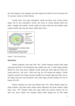 7
dan rantai panjang (L) dan merupakan suatu garis dengan berat molekul 100 juta dan disusun dari
162 capsomer. Lapisan ini bersifat infeksius.
Varicella Zoster Virus dapat menyebabkan varicella dan herpes zoster. Kontak pertama
dengan virus ini akan menyebabkan varicella, oleh karena itu varicella dikatakan infeksi akut
primer, sedangkan bila penderita varicella sembuh atau dalam bentuk laten dan kemudian terjadi
serangan kembali maka yang akan muncul adalah Herpes Zoster.
Gambar 1. Virus Varisela Zoster
Epidemiologi
Sebelum pengenalan vaksin pada tahun 1995, varisella merupakan penyakit infeksi paling
sering pada anak-anak di USA.Kebanyakan anak terinfeksi pada umur 15 tahun, dengan persentasi
dibawah 5% pada orang dewasa. Epidemik Varicella terjadi pada musim dingin dan musim semi,
tercatat lebih dari 4 juta kasus, 11.000 rawat inap, dan 100 kematian tiap tahunnya. Varicella
merupakan penyakit serius dengan persentasi komplikasi dan kematian tinggi pada balita, dewasa,
dan dengan orang imun yang terkompromi. Pada rumah tangga, persentasi penularan dari virus ini
berkisar 65%-86%
Manusia merupakan host alami yang diketahui untuk VZV, dimana dikaitkan dengan dua
bentuk kesakitan- yang bentuk primer sebagai varisela (chickenpox) dan bentuk sekunder sebagai
herpes zoster. VZV merupakan infeksi yang sangat menular dan menyebar biasanya dari oral
udara atau sekresi respirasi atau terkadang melalui transfer langsung dari lesi kulit melalui
 