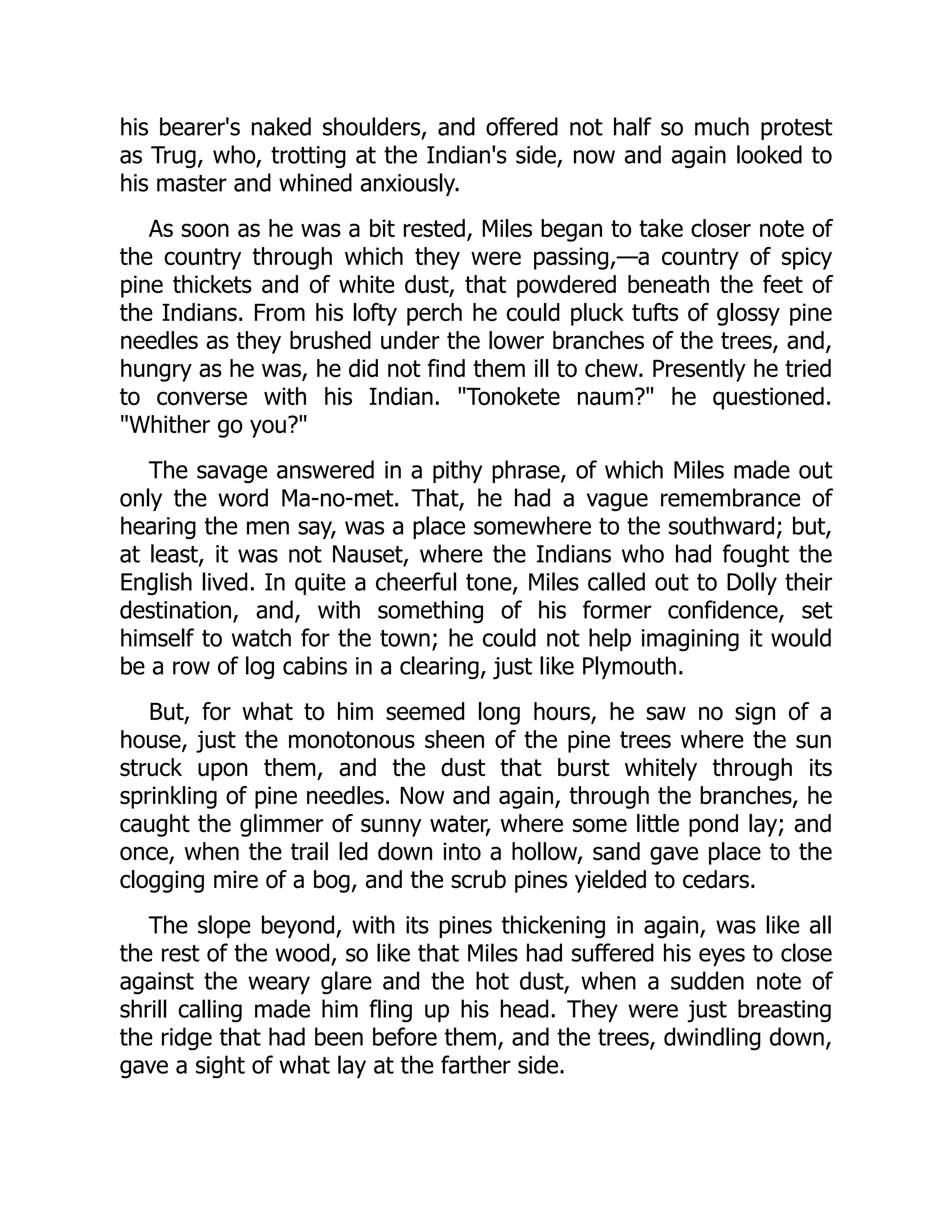 his bearer's naked shoulders, and offered not half so much protest
as Trug, who, trotting at the Indian's side, now and again looked to
his master and whined anxiously.
As soon as he was a bit rested, Miles began to take closer note of
the country through which they were passing,—a country of spicy
pine thickets and of white dust, that powdered beneath the feet of
the Indians. From his lofty perch he could pluck tufts of glossy pine
needles as they brushed under the lower branches of the trees, and,
hungry as he was, he did not find them ill to chew. Presently he tried
to converse with his Indian. Tonokete naum? he questioned.
Whither go you?
The savage answered in a pithy phrase, of which Miles made out
only the word Ma-no-met. That, he had a vague remembrance of
hearing the men say, was a place somewhere to the southward; but,
at least, it was not Nauset, where the Indians who had fought the
English lived. In quite a cheerful tone, Miles called out to Dolly their
destination, and, with something of his former confidence, set
himself to watch for the town; he could not help imagining it would
be a row of log cabins in a clearing, just like Plymouth.
But, for what to him seemed long hours, he saw no sign of a
house, just the monotonous sheen of the pine trees where the sun
struck upon them, and the dust that burst whitely through its
sprinkling of pine needles. Now and again, through the branches, he
caught the glimmer of sunny water, where some little pond lay; and
once, when the trail led down into a hollow, sand gave place to the
clogging mire of a bog, and the scrub pines yielded to cedars.
The slope beyond, with its pines thickening in again, was like all
the rest of the wood, so like that Miles had suffered his eyes to close
against the weary glare and the hot dust, when a sudden note of
shrill calling made him fling up his head. They were just breasting
the ridge that had been before them, and the trees, dwindling down,
gave a sight of what lay at the farther side.
 