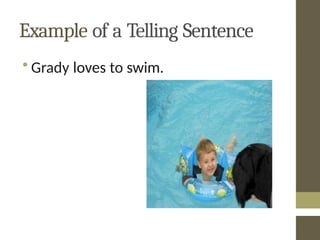 Understanding Telling Sentences: Structure and Examples for Beginners ...