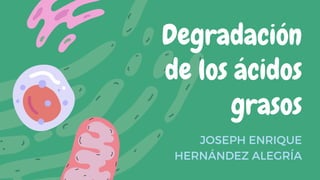 Degradación
de los ácidos
grasos
JOSEPH ENRIQUE
HERNÁNDEZ ALEGRÍA
 