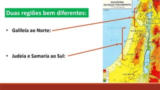 • Galileia ao Norte:
• Judeia e Samaria ao Sul:
Duas regiões bem diferentes:
 