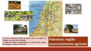 Palestina: região
essencialmente agrícola
As terras cultiváveis estão na parte norte, na região da
Galileia e no vale do rio Jordão.
A região da Judeia é montanhosa e se presta mais a pasto
de rebanhos e cultivo de oliveira.
 