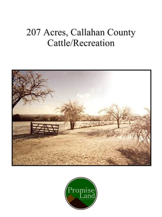 207 Acres, Callahan County Cattle/Recreation 