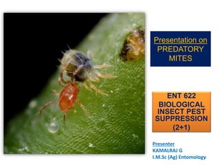Presentation on
PREDATORY
MITES
ENT 622
BIOLOGICAL
INSECT PEST
SUPPRESSION
(2+1)
Presenter
KAMALRAJ G
I.M.Sc (Ag) Entomology1
 