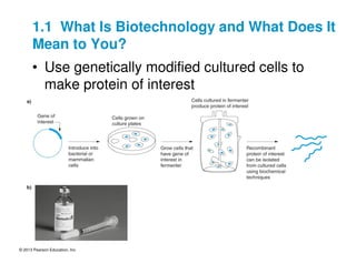 © 2013 Pearson Education, Inc.
1.1 What Is Biotechnology and What Does It
Mean to You?
• Use genetically modified cultured cells to
make protein of interest
 