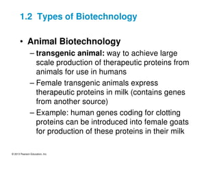 © 2013 Pearson Education, Inc.
1.2 Types of Biotechnology
• Animal Biotechnology
– transgenic animal: way to achieve large
scale production of therapeutic proteins from
animals for use in humans
– Female transgenic animals express
therapeutic proteins in milk (contains genes
from another source)
– Example: human genes coding for clotting
proteins can be introduced into female goats
for production of these proteins in their milk
 