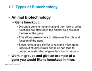 © 2013 Pearson Education, Inc.
1.2 Types of Biotechnology
• Animal Biotechnology
– Gene knockout:
• Disrupt a gene in the animal and then look at what
functions are affected in the animal as a result of
the loss of the gene
• This allows researchers to determine the role and
function of the gene
• Since humans are similar to rats and mice, gene
knockout studies in rats and mice can lead to
better understanding of gene function in humans.
• Work in groups and give an example of a
gene you would like to knockout in mice.
 