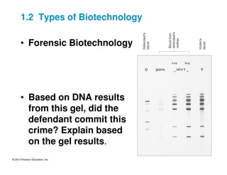 © 2013 Pearson Education, Inc.
• Forensic Biotechnology
• Based on DNA results
from this gel, did the
defendant commit this
crime? Explain based
on the gel results.
1.2 Types of Biotechnology
 