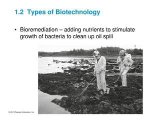 © 2013 Pearson Education, Inc.
• Bioremediation – adding nutrients to stimulate
growth of bacteria to clean up oil spill
1.2 Types of Biotechnology
 