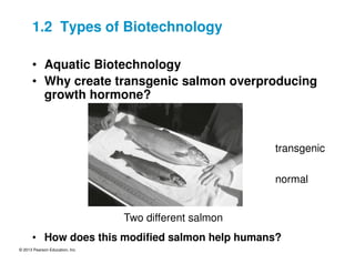 © 2013 Pearson Education, Inc.
• Aquatic Biotechnology
• Why create transgenic salmon overproducing
growth hormone?
• How does this modified salmon help humans?
transgenic
normal
Two different salmon
1.2 Types of Biotechnology
 
