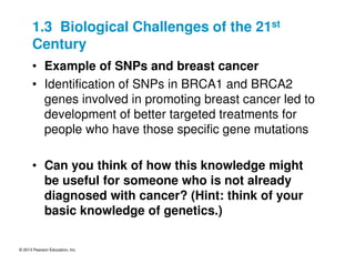 © 2013 Pearson Education, Inc.
1.3 Biological Challenges of the 21st
Century
• Example of SNPs and breast cancer
• Identification of SNPs in BRCA1 and BRCA2
genes involved in promoting breast cancer led to
development of better targeted treatments for
people who have those specific gene mutations
• Can you think of how this knowledge might
be useful for someone who is not already
diagnosed with cancer? (Hint: think of your
basic knowledge of genetics.)
 