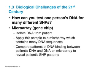 © 2013 Pearson Education, Inc.
1.3 Biological Challenges of the 21st
Century
• How can you test one person's DNA for
many different SNPs?
• Microarray (gene chip)
– Isolate DNA from patient
– Apply this sample to a microarray which
contains many DNA sequences
– Compare patterns of DNA binding between
patient's DNA and DNA on microarray to
reveal patient's SNP patterns
 