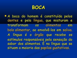 BOCABOCA
 A boca do homem é constituída pelosA boca do homem é constituída pelos
dentesdentes e pelae pela língualíngua, que misturam e, que misturam e
transformam ostransformam os alimentosalimentos emem
bolo alimentarbolo alimentar, ao envolvê-los em, ao envolvê-los em salivasaliva..
A língua é oA língua é o órgãoórgão que recebe osque recebe os
estímulos responsáveis pela sensação doestímulos responsáveis pela sensação do
sabor dos alimentos. É na língua que sesabor dos alimentos. É na língua que se
situam a maioria dassituam a maioria das papilas gustativaspapilas gustativas..
 