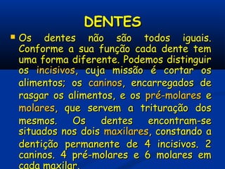 DENTESDENTES
 Os dentes não são todos iguais.Os dentes não são todos iguais.
Conforme a sua função cada dente temConforme a sua função cada dente tem
uma forma diferente. Podemos distinguiruma forma diferente. Podemos distinguir
osos incisivosincisivos, cuja missão é cortar os, cuja missão é cortar os
alimentos; osalimentos; os caninoscaninos, encarregados de, encarregados de
rasgar os alimentos, e osrasgar os alimentos, e os pré-molarespré-molares ee
molaresmolares, que servem a trituração dos, que servem a trituração dos
mesmos. Os dentes encontram-semesmos. Os dentes encontram-se
situados nos doissituados nos dois maxilaresmaxilares, constando a, constando a
dentição permanente de 4 incisivos. 2dentição permanente de 4 incisivos. 2
caninos. 4 pré-molares e 6 molares emcaninos. 4 pré-molares e 6 molares em
cada maxilar.
 