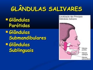 GLÂNDULAS SALIVARESGLÂNDULAS SALIVARES
 GlândulasGlândulas
ParótidasParótidas
 GlândulasGlândulas
SubmandibularesSubmandibulares
 GlândulasGlândulas
SublinguaisSublinguais
 