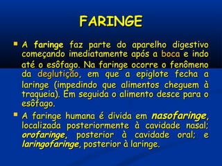 FARINGEFARINGE
 AA faringefaringe faz parte do aparelho digestivofaz parte do aparelho digestivo
começando imediatamente após acomeçando imediatamente após a bocaboca e indoe indo
até o esôfago. Na faringe ocorre o fenômenoaté o esôfago. Na faringe ocorre o fenômeno
dada deglutiçãodeglutição, em que a epiglote fecha a, em que a epiglote fecha a
laringe (impedindo que alimentos cheguem àlaringe (impedindo que alimentos cheguem à
traqueia). Em seguida o alimento desce para otraqueia). Em seguida o alimento desce para o
esôfago.esôfago.
 A faringe humana é divida emA faringe humana é divida em nasofaringenasofaringe,,
localizada posteriormente à cavidade nasal;localizada posteriormente à cavidade nasal;
orofaringeorofaringe,, posterior à cavidade oral; eposterior à cavidade oral; e
laringofaringelaringofaringe, posterior à laringe., posterior à laringe.
 