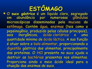 ESTÔMAGOESTÔMAGO
 OO suco gástricosuco gástrico é um líquido claro, segregadoé um líquido claro, segregado
em abundância por numerosasem abundância por numerosas glândulasglândulas
microscópicas disseminadas pelamicroscópicas disseminadas pela mucosamucosa dodo
estômagoestômago. Contém. Contém águaágua,, enzimasenzimas (tais como o(tais como o
pepsinogênio, produzido pelas células principais),pepsinogênio, produzido pelas células principais),
sais inorgânicos,sais inorgânicos, ácido clorídricoácido clorídrico e umae uma
quantidade mínima dequantidade mínima de ácido lácticoácido láctico. A sua função. A sua função
é atuar sobre oé atuar sobre o bolo alimentarbolo alimentar, proporcionando a, proporcionando a
digestãodigestão gástrica dos alimentos, principalmentegástrica dos alimentos, principalmente
das proteínas. Odas proteínas. O HClHCl presente no suco ajuda apresente no suco ajuda a
destruir asdestruir as bactériasbactérias presentes nos alimentos.presentes nos alimentos.
Proporciona ainda o meio ácido ideal para aProporciona ainda o meio ácido ideal para a
atuação das enzimas do suco.atuação das enzimas do suco.
 