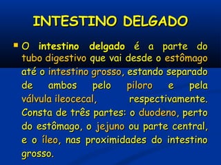 INTESTINO DELGADOINTESTINO DELGADO
 OO intestino delgadointestino delgado é a parte doé a parte do
tubo digestivotubo digestivo que vai desde oque vai desde o estômagoestômago
até oaté o intestino grossointestino grosso, estando separado, estando separado
de ambos pelode ambos pelo piloropiloro e pelae pela
válvula ileocecalválvula ileocecal, respectivamente., respectivamente.
Consta de três partes: oConsta de três partes: o duodenoduodeno, perto, perto
do estômago, odo estômago, o jejunojejuno ou parte central,ou parte central,
e oe o íleoíleo, nas proximidades do intestino, nas proximidades do intestino
grosso.grosso.
 