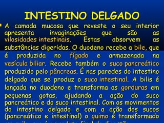 INTESTINO DELGADOINTESTINO DELGADO
 A camada mucosa que reveste o seu interiorA camada mucosa que reveste o seu interior
apresenta invaginações que são asapresenta invaginações que são as
vilosidades intestinaisvilosidades intestinais. Estas absorvem as. Estas absorvem as
substâncias digeridas. O duodeno recebe asubstâncias digeridas. O duodeno recebe a bilebile, que, que
é produzida noé produzida no fígadofígado e armazenada nae armazenada na
vesícula biliarvesícula biliar. Recebe também o. Recebe também o suco pancreáticosuco pancreático
produzido peloproduzido pelo pâncreaspâncreas. É nas paredes do intestino. É nas paredes do intestino
delgado que se produz odelgado que se produz o suco intestinalsuco intestinal. A bilis é. A bilis é
lançada no duodeno e transforma aslançada no duodeno e transforma as gordurasgorduras emem
pequenas gotas, ajudando a ação do sucopequenas gotas, ajudando a ação do suco
pancreático e do suco intestinal. Com os movimentospancreático e do suco intestinal. Com os movimentos
do intestino delgado e com a ação dos sucosdo intestino delgado e com a ação dos sucos
(pancreático e intestinal) o(pancreático e intestinal) o quimoquimo é transformadoé transformado
 