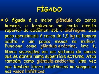 FÍGADOFÍGADO
 OO fígadofígado é a maioré a maior glândulaglândula do corpodo corpo
humano, e localiza-se no canto direitohumano, e localiza-se no canto direito
superior do abdômen, sob osuperior do abdômen, sob o diafragmadiafragma. Seu. Seu
peso aproximado é cerca de 1,5peso aproximado é cerca de 1,5 kgkg no homemno homem
adulto e um pouco menos na mulher.adulto e um pouco menos na mulher.
Funciona comoFunciona como glândula exócrinaglândula exócrina, isto é,, isto é,
libera secreções em um sistema de canaislibera secreções em um sistema de canais
que se abrem numa superfície externa. Atuaque se abrem numa superfície externa. Atua
também comotambém como glândula endócrinaglândula endócrina, uma vez, uma vez
que também libera substâncias no sangue ouque também libera substâncias no sangue ou
nosnos vasos linfáticosvasos linfáticos..
 