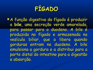 FÍGADOFÍGADO
 A função digestiva do fígado é produzirA função digestiva do fígado é produzir
aa bilebile, uma secreção verde amarelada,, uma secreção verde amarelada,
para passar para o duodeno. A bile épara passar para o duodeno. A bile é
produzida no fígado e armazenada naproduzida no fígado e armazenada na
vesícula biliar, que a libera quandovesícula biliar, que a libera quando
gorduras entram no duodeno. A bilegorduras entram no duodeno. A bile
emulsiona a gordura e a distribui para aemulsiona a gordura e a distribui para a
parte distal do intestino para a digestãoparte distal do intestino para a digestão
e absorção.e absorção.
 