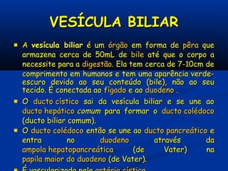 VESÍCULA BILIARVESÍCULA BILIAR
 AA vesícula biliarvesícula biliar é umé um órgãoórgão em forma deem forma de pêrapêra queque
armazena cerca de 50mL dearmazena cerca de 50mL de bilebile até que o corpo aaté que o corpo a
necessite para anecessite para a digestãodigestão. Ela tem cerca de 7-10cm de. Ela tem cerca de 7-10cm de
comprimento em humanos e tem uma aparência verde-comprimento em humanos e tem uma aparência verde-
escuro devido ao seu conteúdo (bile), não ao seuescuro devido ao seu conteúdo (bile), não ao seu
tecido. É conectada aotecido. É conectada ao fígadofígado e aoe ao duodenoduodeno ..
 OO ducto císticoducto cístico sai da vesícula biliar e se une aosai da vesícula biliar e se une ao
ducto hepáticoducto hepático comumcomum para formar opara formar o ducto colédocoducto colédoco
(ducto biliar comum).(ducto biliar comum).
 OO ducto colédocoducto colédoco então se une aoentão se une ao ducto pancreáticoducto pancreático ee
entra noentra no duodenoduodeno através daatravés da
ampola hepatopancreáticaampola hepatopancreática (de Vater) na(de Vater) na
papila maior do duodenopapila maior do duodeno (de Vater).(de Vater).
 